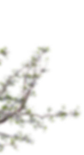 ガラス