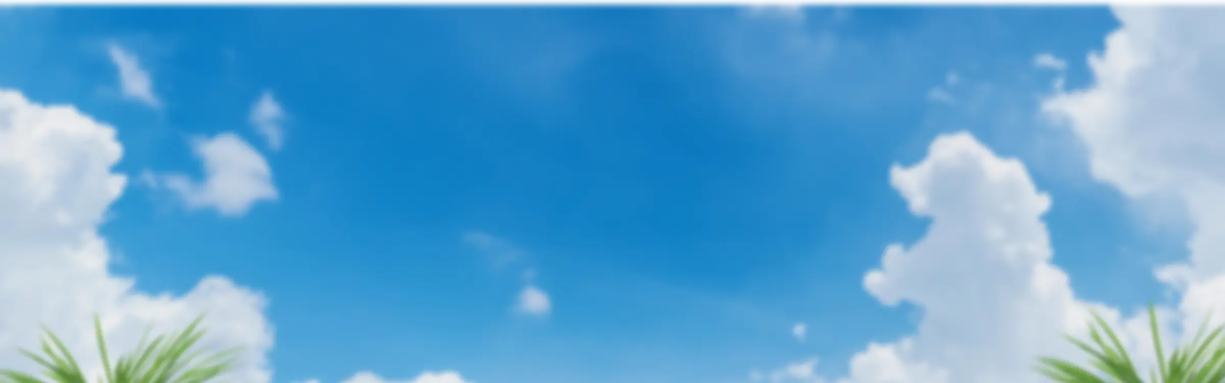背景
