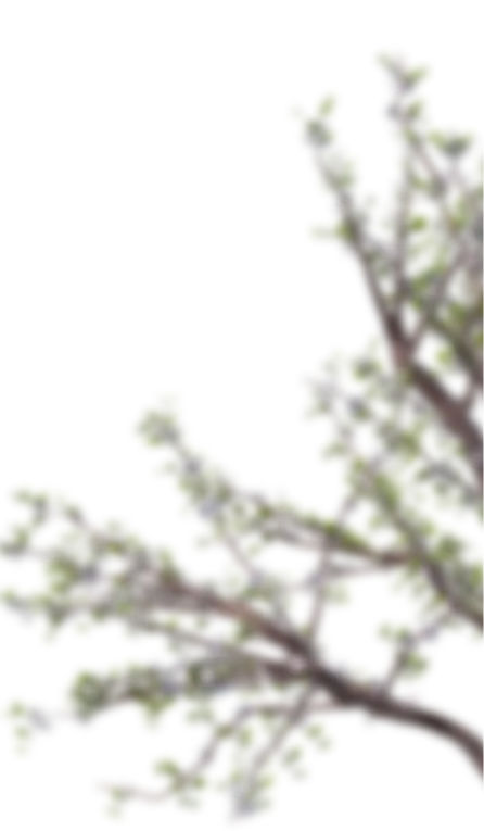 草