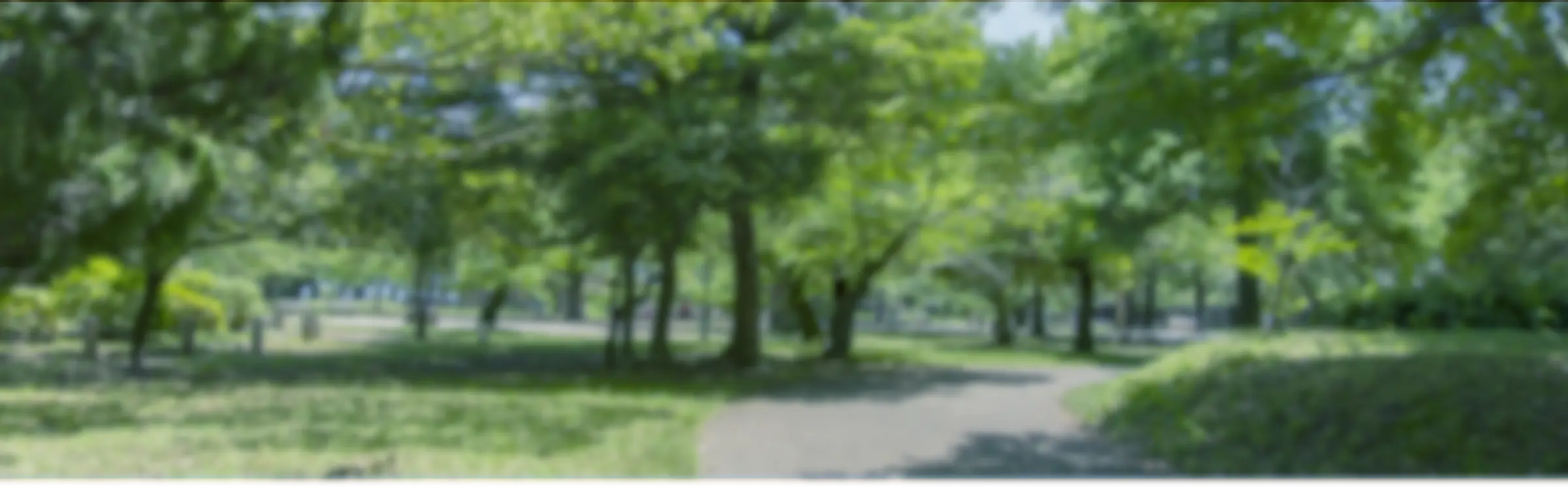 大津瀬田の環境・アクセス背景画像